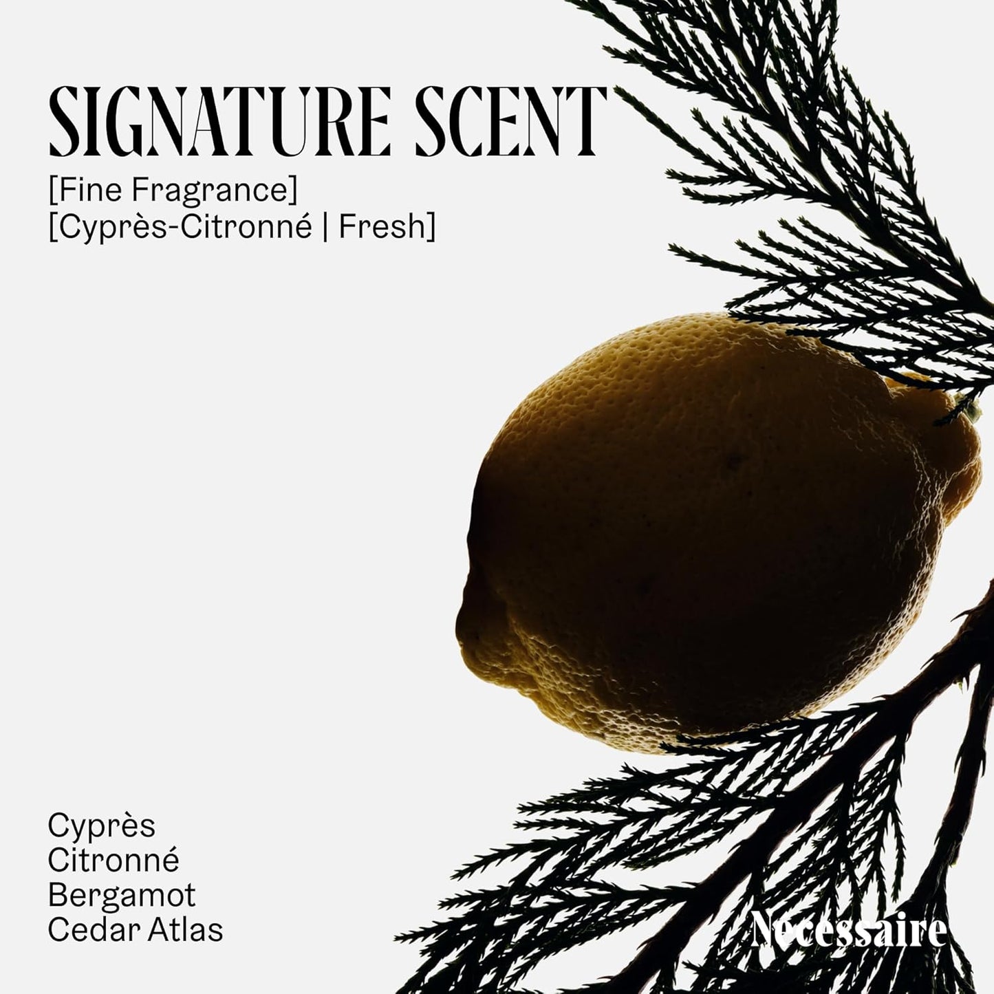 Nécessaire The Body Lotion Cyprès-Citronné – Multi-Peptide Body Moisturizer for Women + Men – Non-Comedogenic Body Lotion with Niacinamide – 450ml/15.2 fl oz