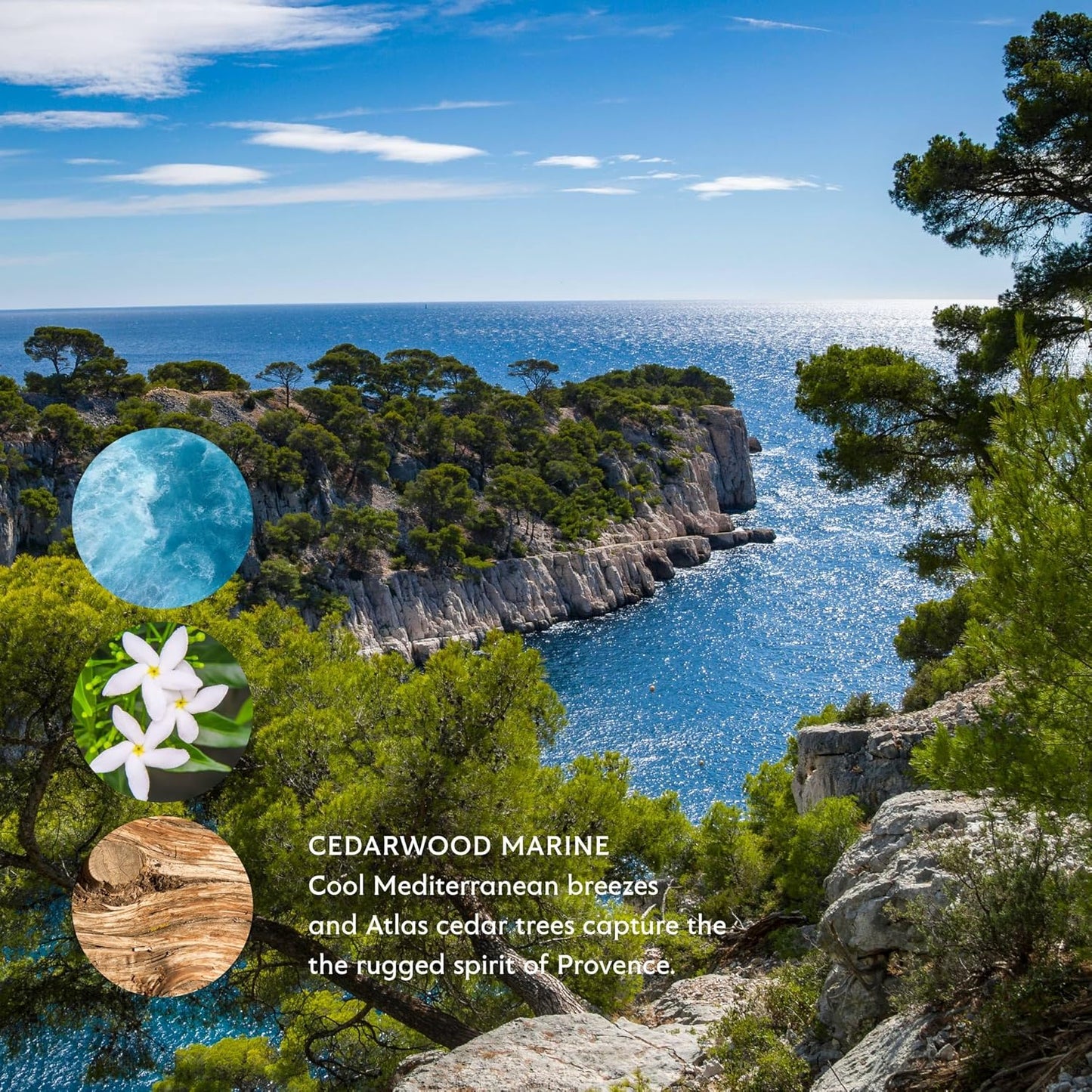 Mistral Cedarwood Marine Shaving Cream for Men | Smooth Triple Layered Foam | Men’s Shave Cream with Organic Plant Extracts | pH-balanced, Phthalates & Paraben-Free | Made in USA. 9oz Tub